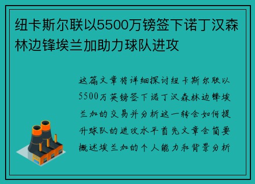 纽卡斯尔联以5500万镑签下诺丁汉森林边锋埃兰加助力球队进攻